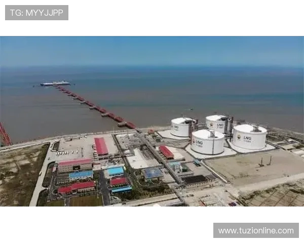 LNG在大师赛中的灵活应变能力分析与表现评估