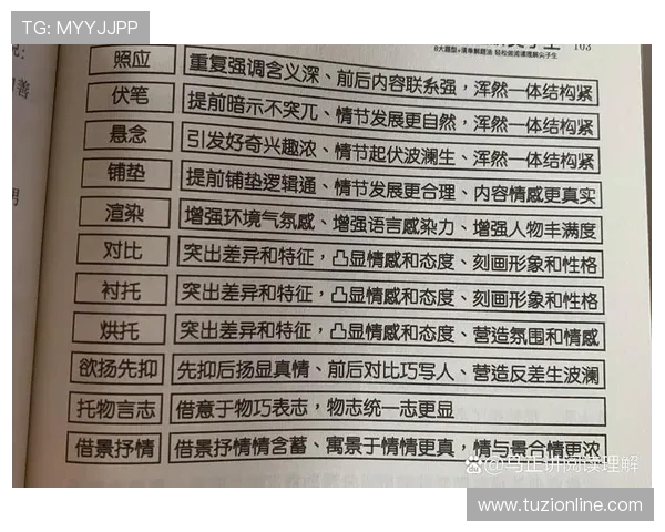 上海排球队耐力对比分析揭示运动员训练与比赛表现的深层联系