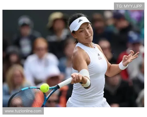 北京网球队实力强劲荣登全国网球实力排行榜第七名