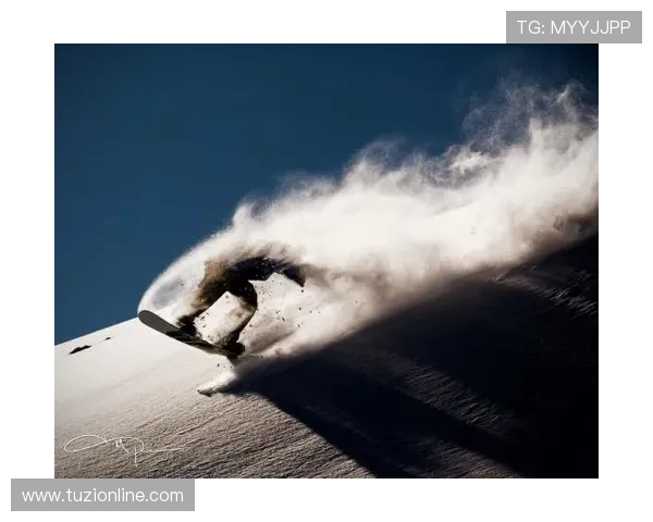 南京极限运动队在极限运动联赛中的团队协作表现分析与点评