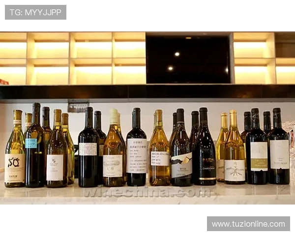 滑板文化的传承与创新南京滑板队的精神探索与团队意识解析