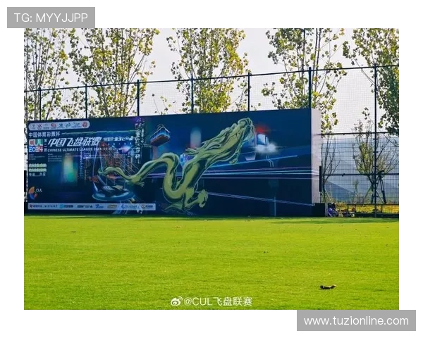 西安飞盘队荣登全国飞盘技术排行榜第十名展现实力与潜力 西安飞盘队荣登全国飞盘技术排行榜第十名展现实力与潜力