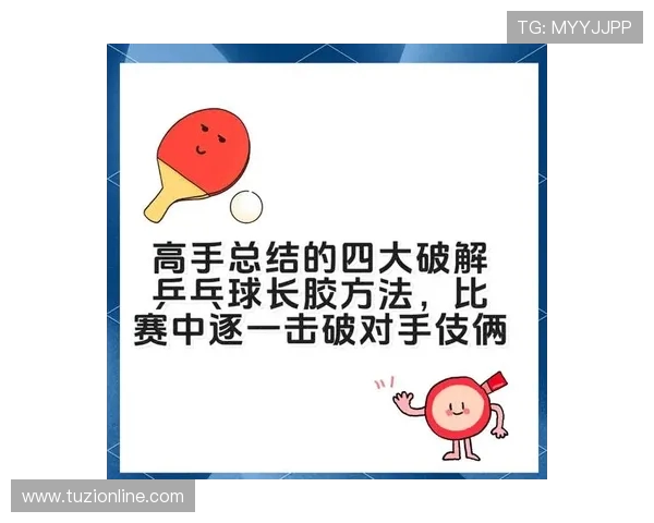 赵军独家分享乒乓球技巧与心得助你提升球技的秘籍与经验