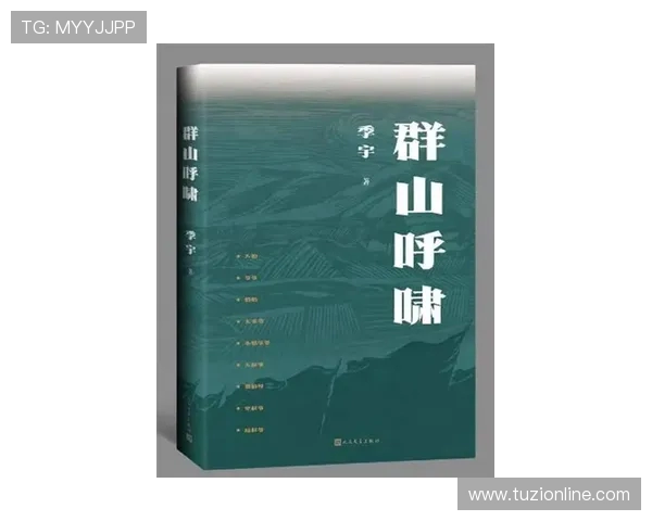 探索弗格的魅力与影响力：从历史到现代的全景分析与思考