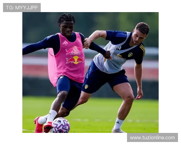 维拉主场迎战利兹联队全力争胜力争三分之战 维拉主场迎战利兹联队全力争胜力争三分之战