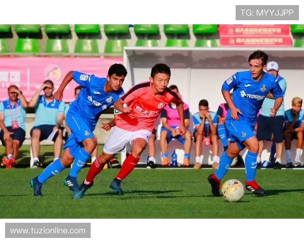 阿斯旺与高纳的精彩对决揭示足球战术与团队合作的完美结合 阿斯旺与高纳的精彩对决揭示足球战术与团队合作的完美结合