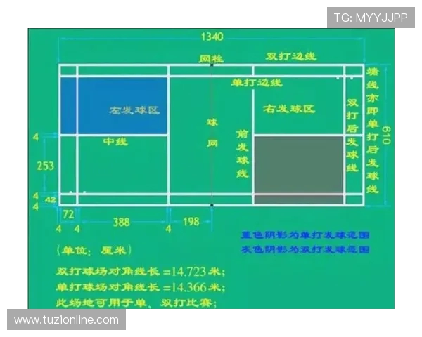 羽毛球新手必看：全面掌握入门技巧与状态调整指南