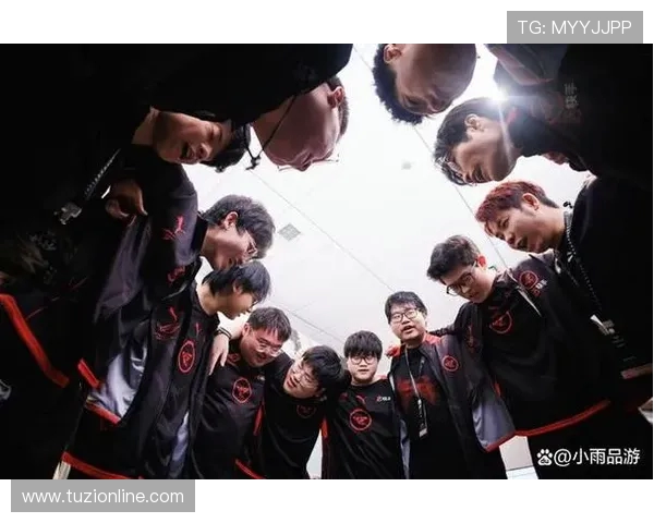 王者荣耀热议：WE战队团队协作引发的争议与反思