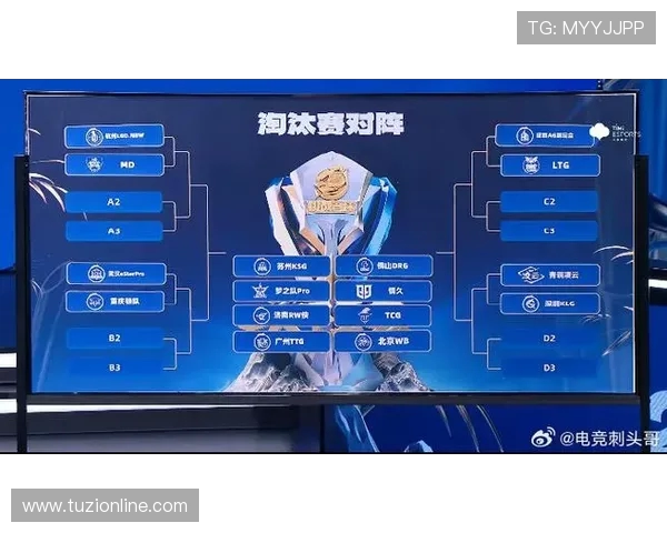 V5在挑战者杯中的比赛经验与表现分析探讨