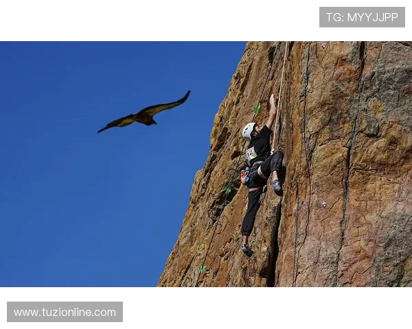 南京攀岩队的进攻策略与训练方法全解析攀岩热点探讨