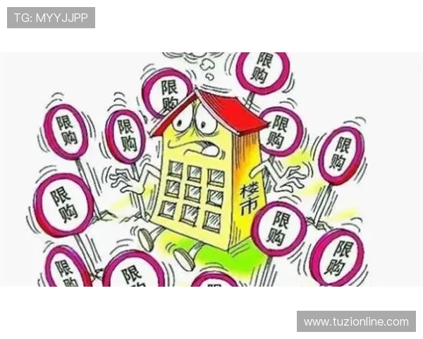 武汉攀岩队的快攻策略解析与攀岩热点发展趋势探讨